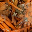 남양수산 이미지