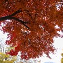 한탄강 유원지6 이미지