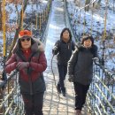 남당리(2025.10.23.목) 깡시장 이미지