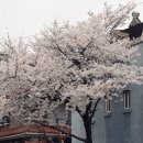 희우정로 31 네이버블로그