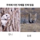 꾸버드림 | 나무경영아카데미 유예2기 1회차 후기