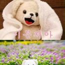 조은음향 이미지