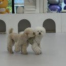 프릿토핏 이미지