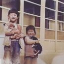 양희경 카카오 검색결과