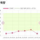 10일다이어트전문샵 | [수원다이어트 관리샵 후기] 쥬비스 수원인계점 1주차 식단 운동 감량 변화