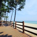 경포인공폭포 앞 이미지