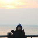 순천만 습지 이미지