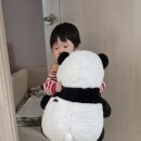 라이블리판다
