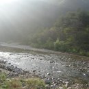 진중1리 이미지