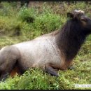 지수목장 이미지