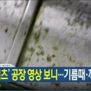 던킨도너츠드림