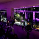 클라우드 짐 선유 이미지