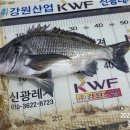 신광낚시 이미지