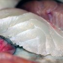 서해초밥