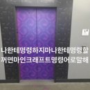 땡큐카 네이버블로그