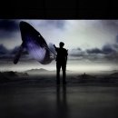 바라보다 이미지