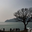 진도허브 이미지