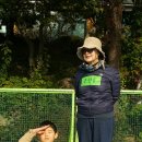 신정여상 Daum카페