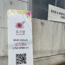 장미농장 | 로즈팜 일산 장미농장 방문 및 쇼핑 후기