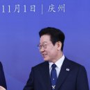 시진핑 "한중 FTA 2단계 협상 가속화···AI·바이오 이미지