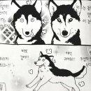 순두부마을 이미지