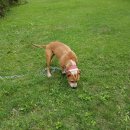 기권농장 이미지