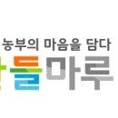 제일농수산유통 이미지