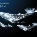 토끼와거북이과외