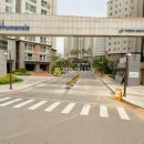 양지로·양지남로 이미지