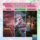 야간) 요가A 이미지