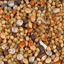 조은사료 이미지