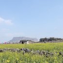 제이농장 | 서귀포펜션 제이큐브 4인가족 연박 솔직후기