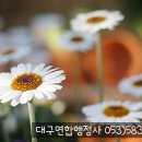 행정사김덕수 이미지