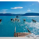 시끄러울수록 풍요로워진다(김호경 민주노총 대전본부 사무처장. 기후위기와 정의로운 전환) 이미지