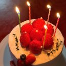 다솜할인마트 | 베이커리 맛집 베이커리다솜 딸기 좋아하면 무조건...딸기 와르르 케이크 맛집 딸기케이크 후기 마산빵집