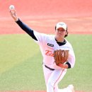 화이트 OSEN