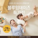 블루밍데이즈 이미지