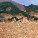 동서교역 | 평창군 - 대관령 성황사 및 산신각, 탑동 삼층석탑, 평창 운교리 밤나무