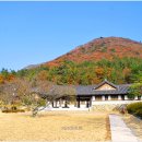 진도 운림산방 이미지