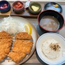 백돈 이미지