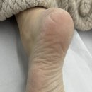 메이크라라 이미지