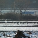 혜성 당구장 이미지