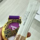 광장한의원 | 까치산역야간진료한의원 2026 챌린지 레이스 10km 코스 참가 후기