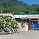 에이플러스팜 이미지