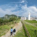 고래불레저