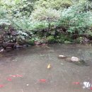 본량동서로 이미지