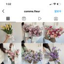꼼므플레르 이미지
