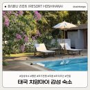 자연속의리조트휴모텔 | 치앙마이 감성 숙소 호시하나 리조트 솔직 후기 | 자연 속 힐링? 벌레·추위 각오하세요