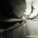 진보동물병원 이미지