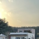경포물회